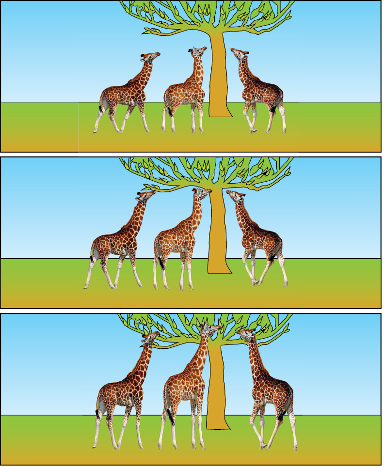 2 эволюционная теория ламарка. Жирафы Ламарка. Эволюционная теория Ламарка Жирафы. Эволюционные идеи Ламарка. Изменение окраски животных Ламарк.